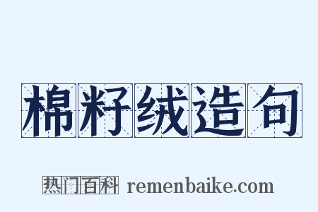 棉籽绒造句是什么意思的图片